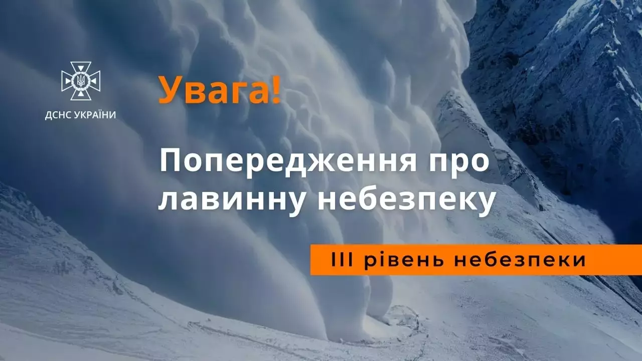 rpavprolzz.jpg