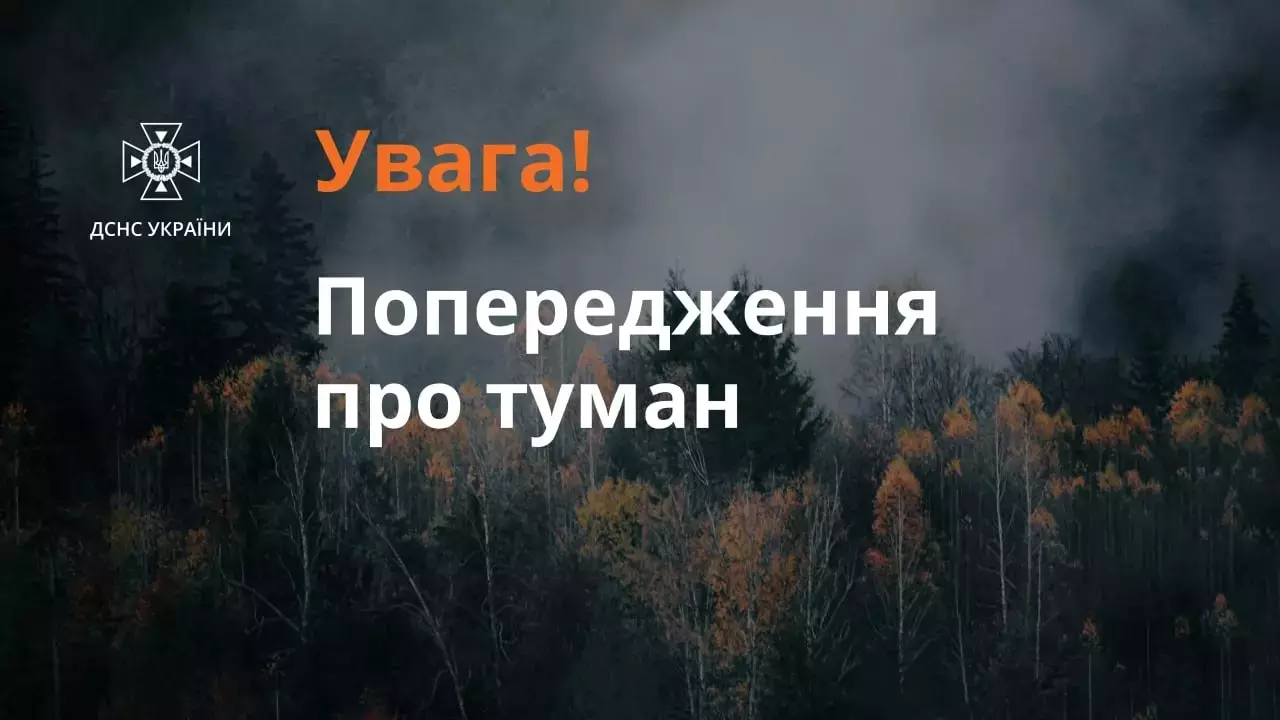 photo-5237927812969648187-y.jpg