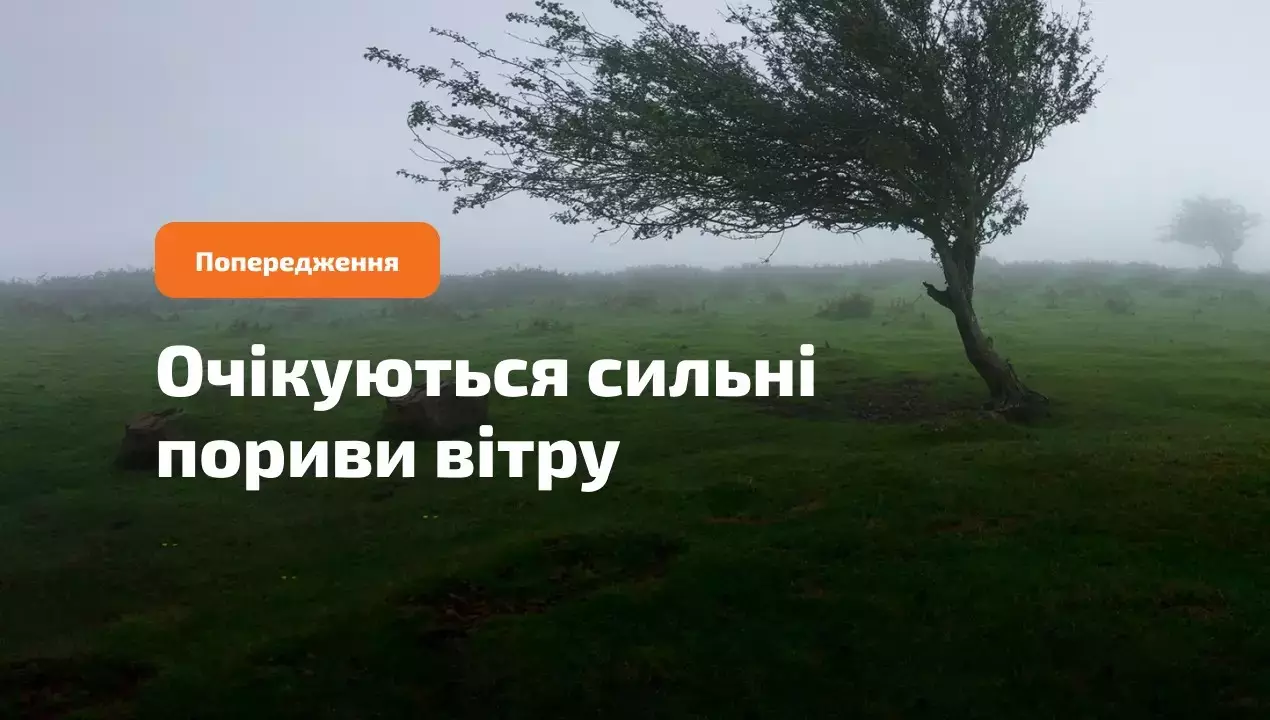 wind-1-website-1.jpg