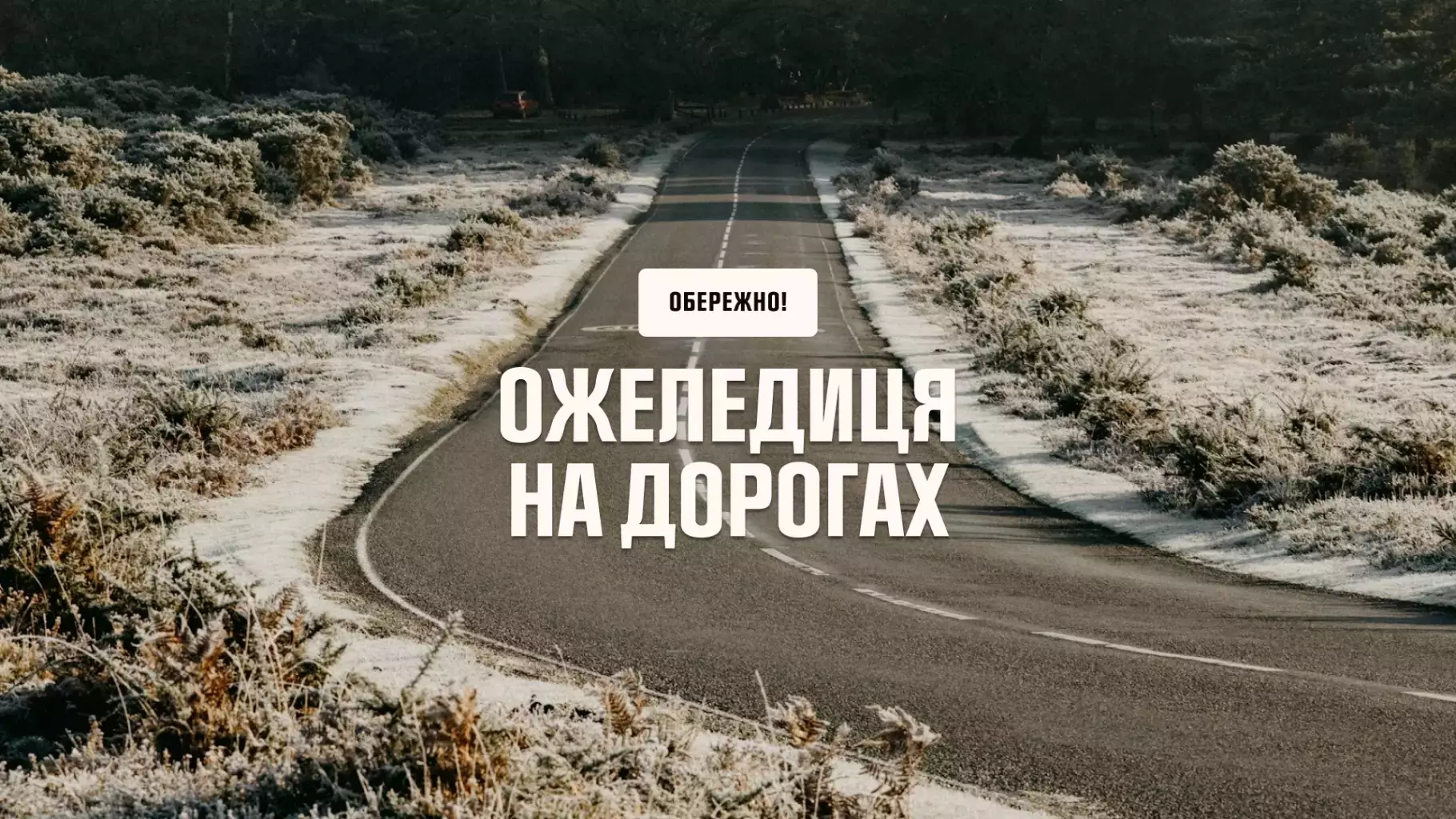 ozeledicia-2024-sitepng.jpg