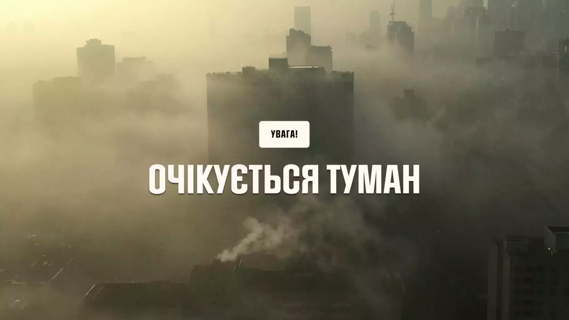 tuman-2024-sitepng.jpg