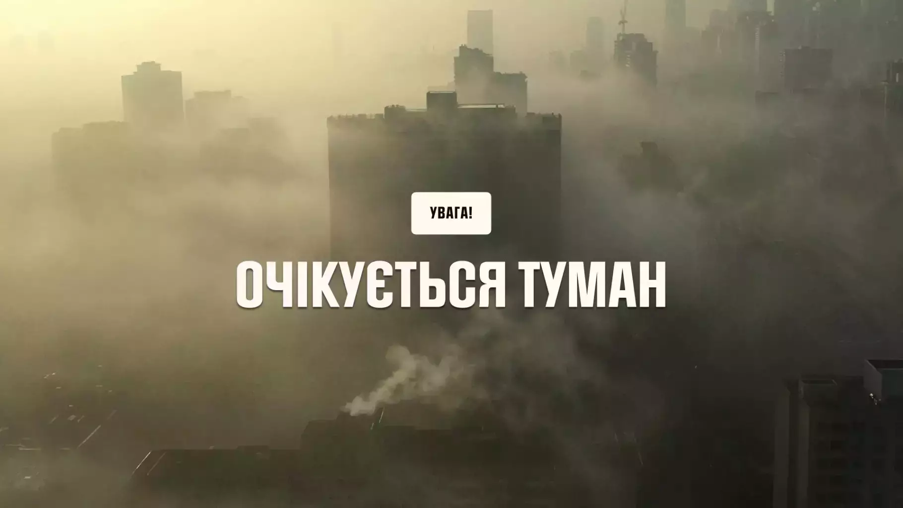 tuman-2024-sitepngjpg.jpg
