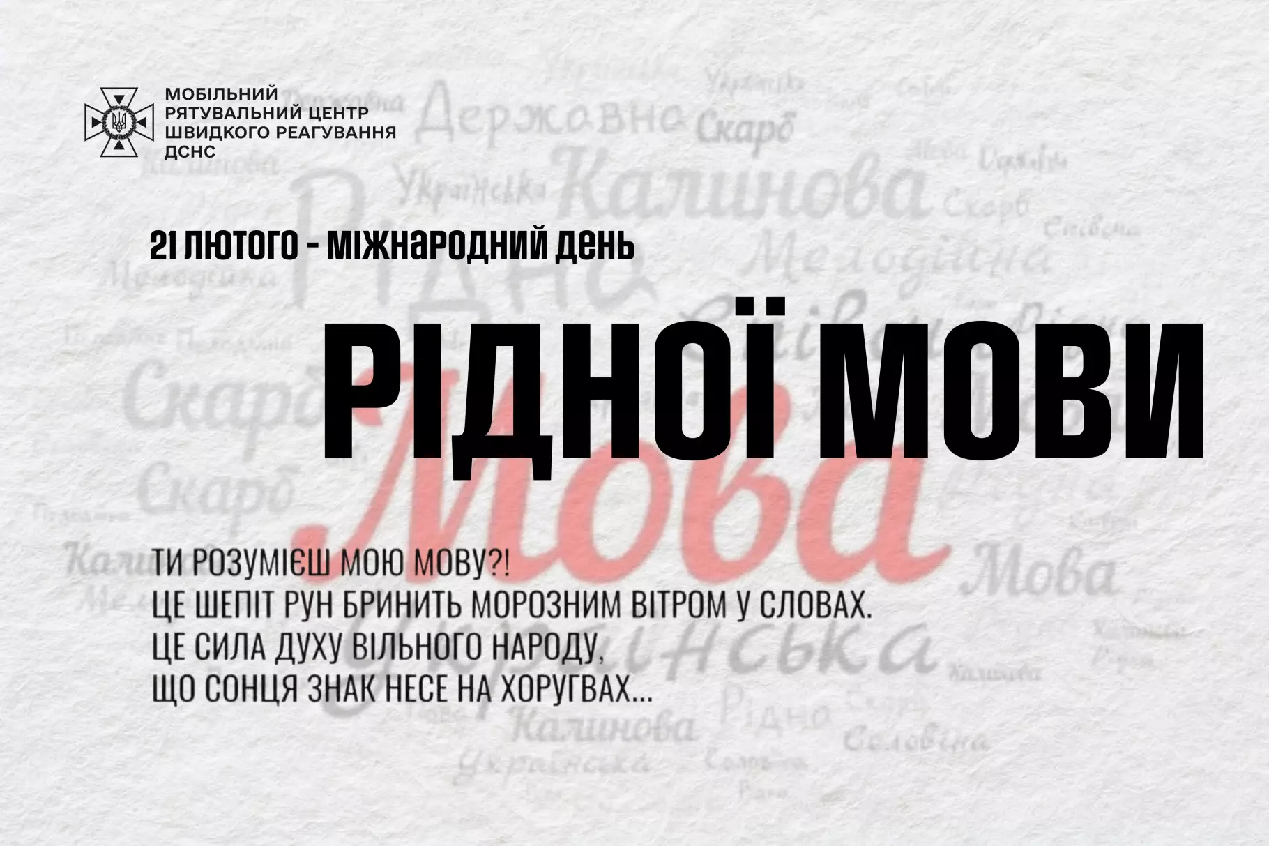 foto-z-fotoaparatu-18.jpg