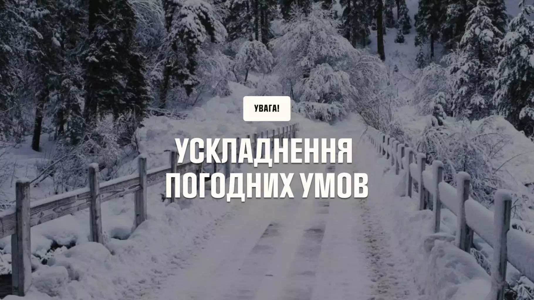 3pyxnujna2cgp4spgkh3qn4xr7rivopfaapnmd2ypng.jpg