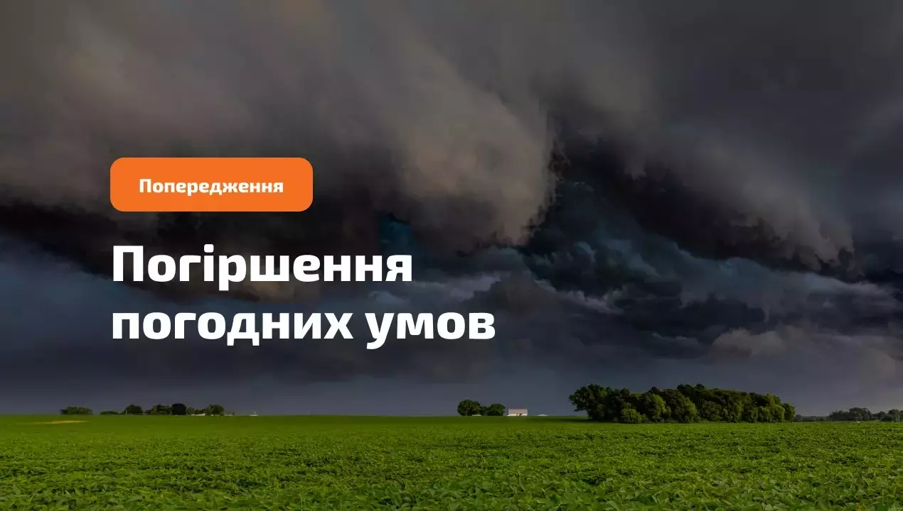 weather-5-websitepng.jpg