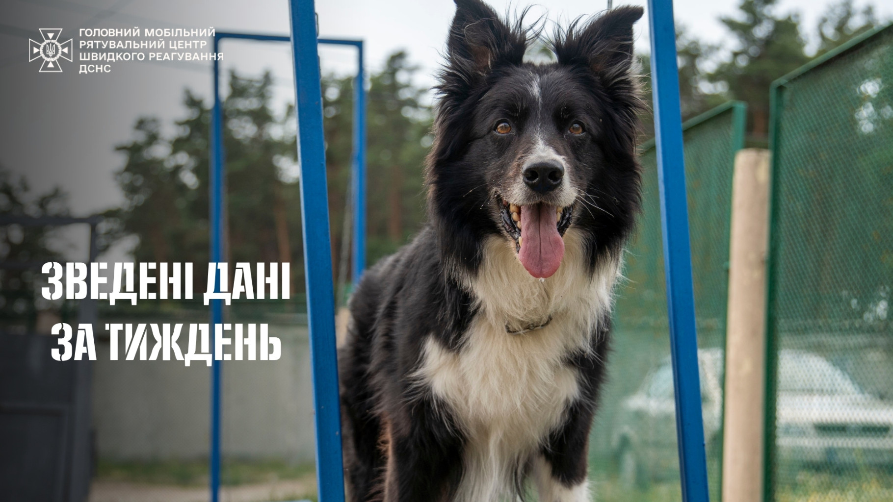 Зведені дані за минулий тиждень станом на 6 липня та з початку 2026 року.